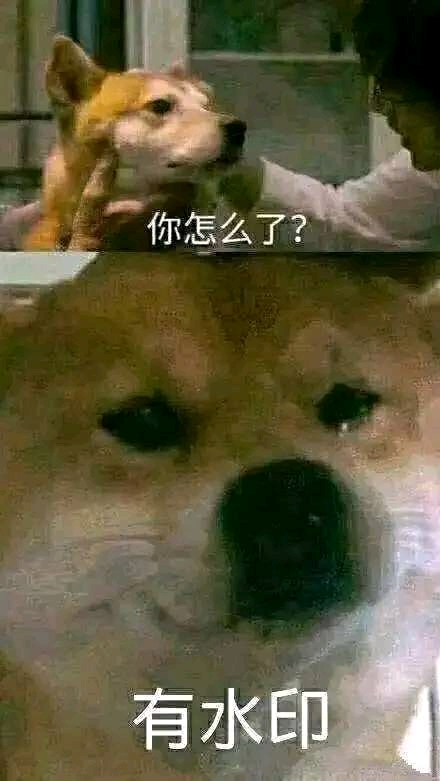 ֽƼ&amp;amp;#xF4A2;-1.jpg
