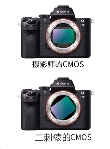Ϊʲôչϲһ-1.jpg