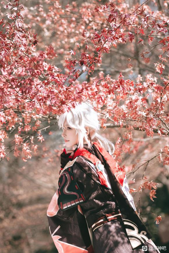 COSƬԭҶ-5.jpg