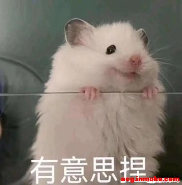 ĸСչϻţ,Ц˰-1.jpg