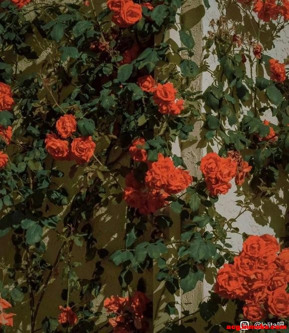 ʽչʲô-1.jpg
