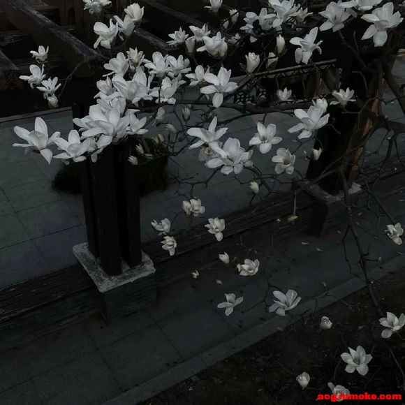 ?ǽ3 #廭# #ͷ#-9.jpg