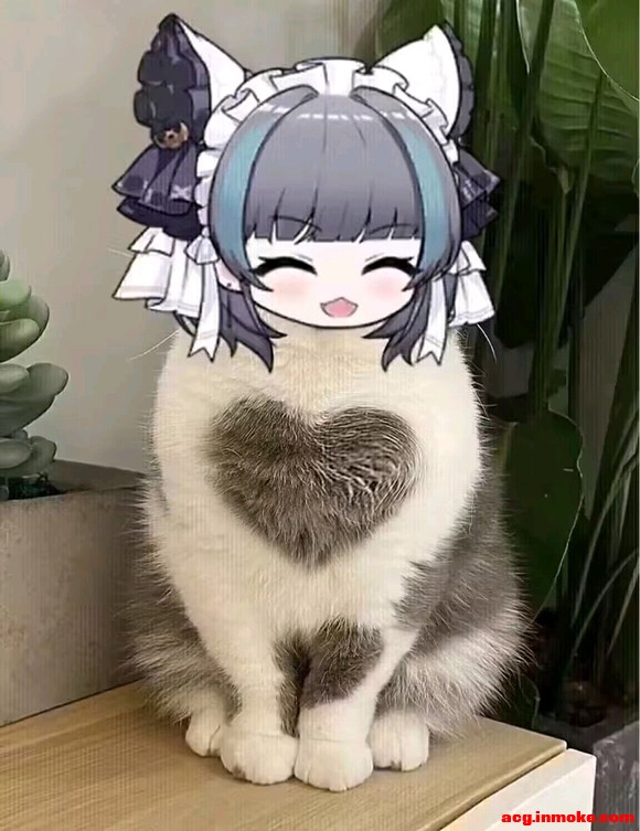 COSƬ(? _ ?)-1.jpg