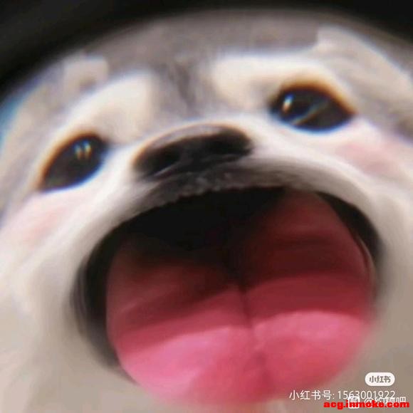 [ä]ڰײݲ廭-1.jpg