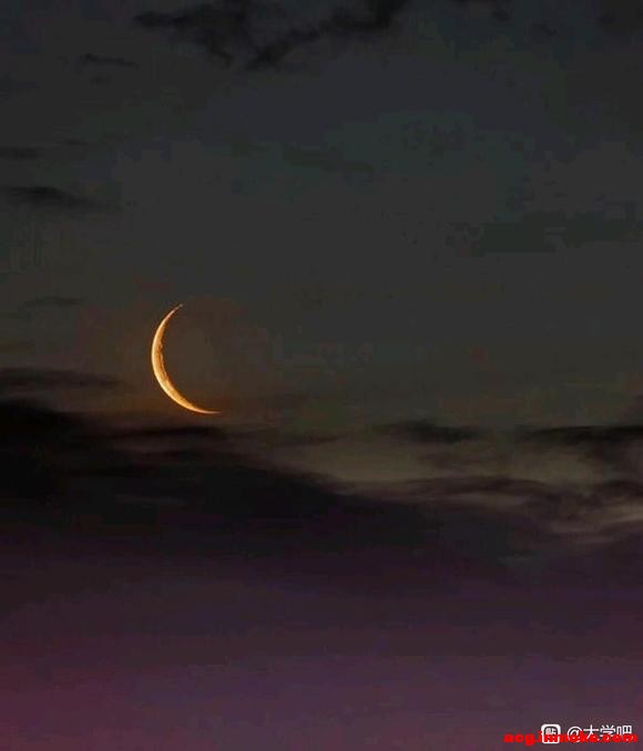 ֱ,ѧ,廭,ͼı˽,ѵ,ÿ춼-1.jpg
