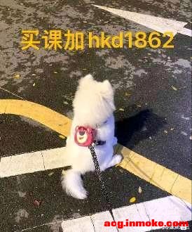 ҫҵ廭|ʽN+1-1.jpg