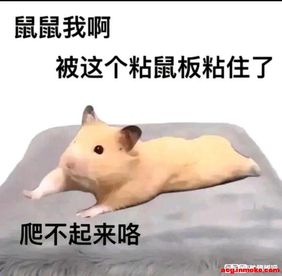 ѧϰ廭,̴һЩ-1.jpg