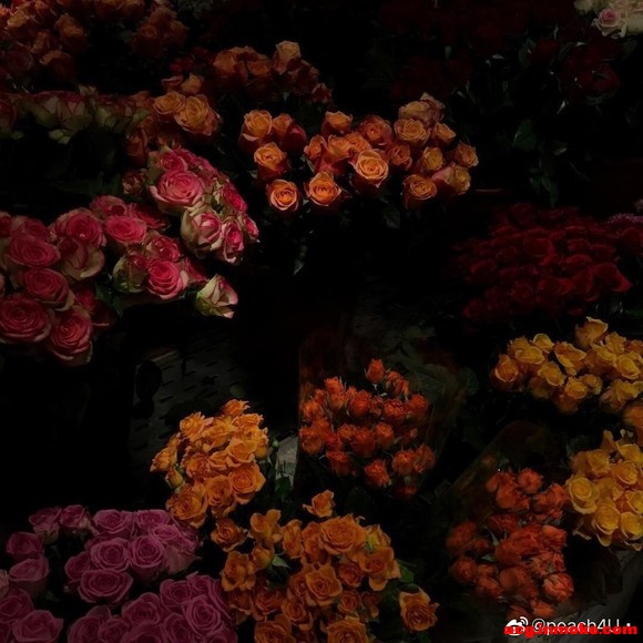 ձֽ߼䵭-1.jpg
