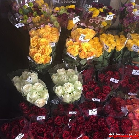 ձֽ߼䵭-4.jpg