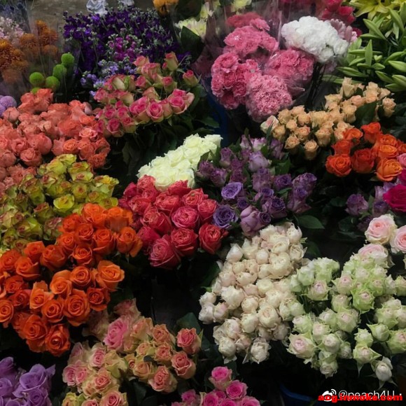 ձֽ߼䵭-7.jpg