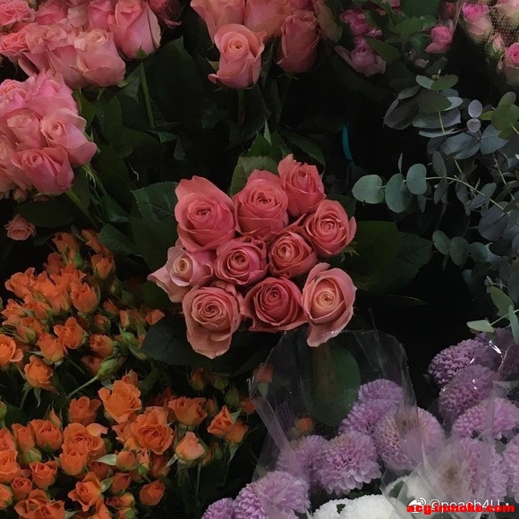 ձֽ߼䵭-8.jpg
