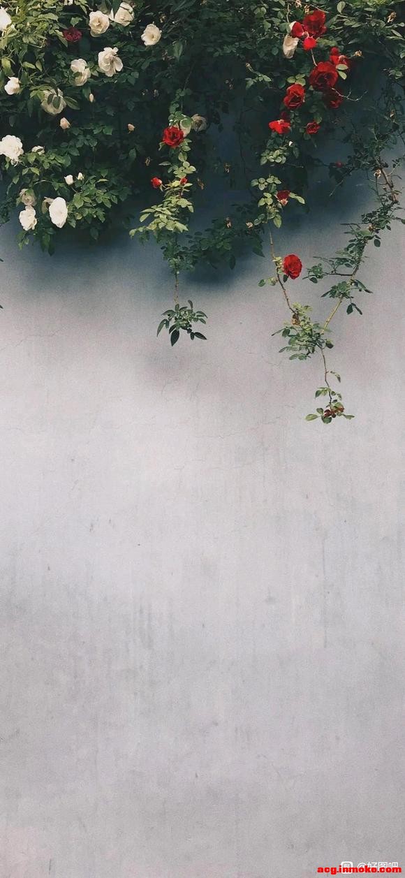 ûֽ|վѡ-7.jpg