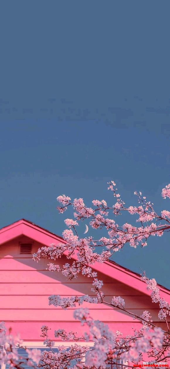 ֽ|޵Сֻֽ-2.jpg