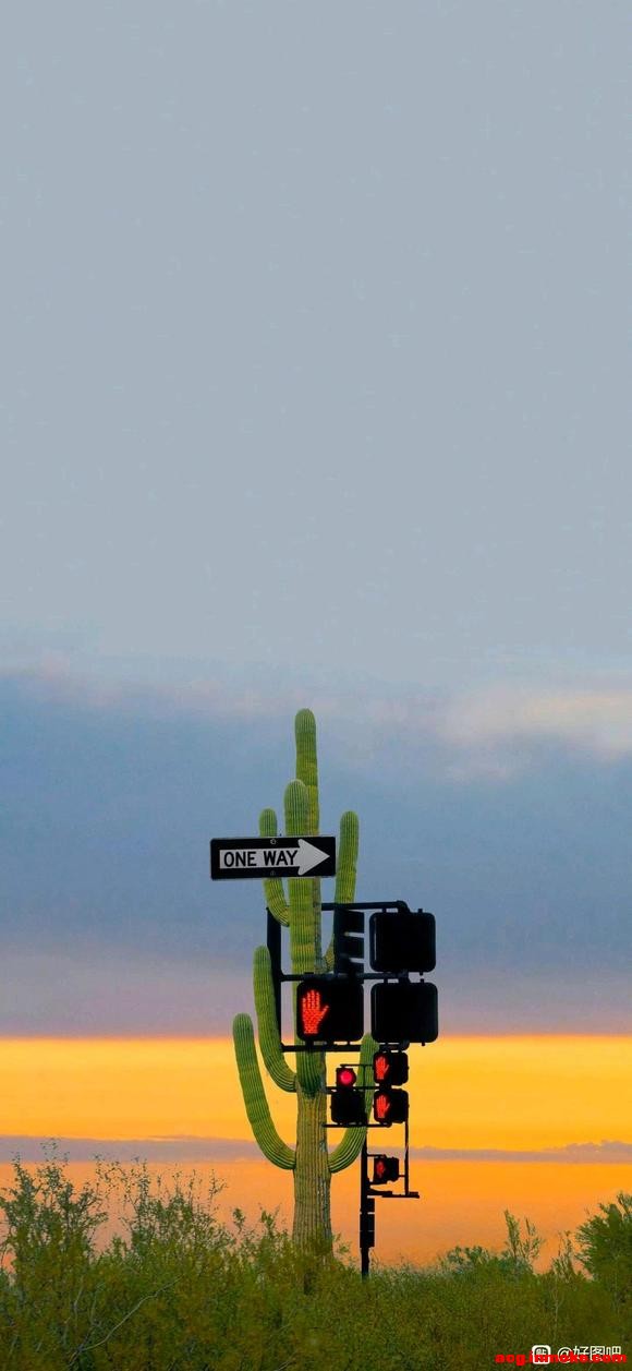 ֽ|޵ļԼϵֽ-6.jpg