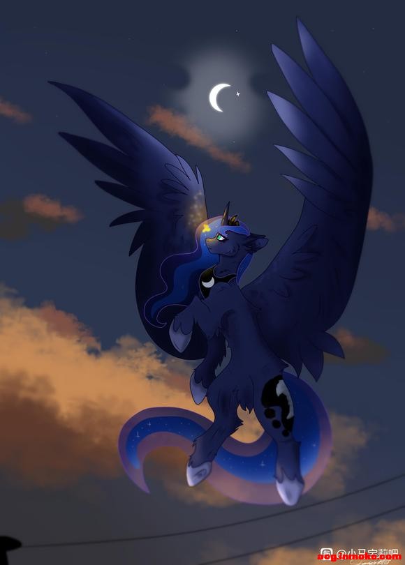 Brony,æɡ͸Lunaıֽöֻ-5.jpg
