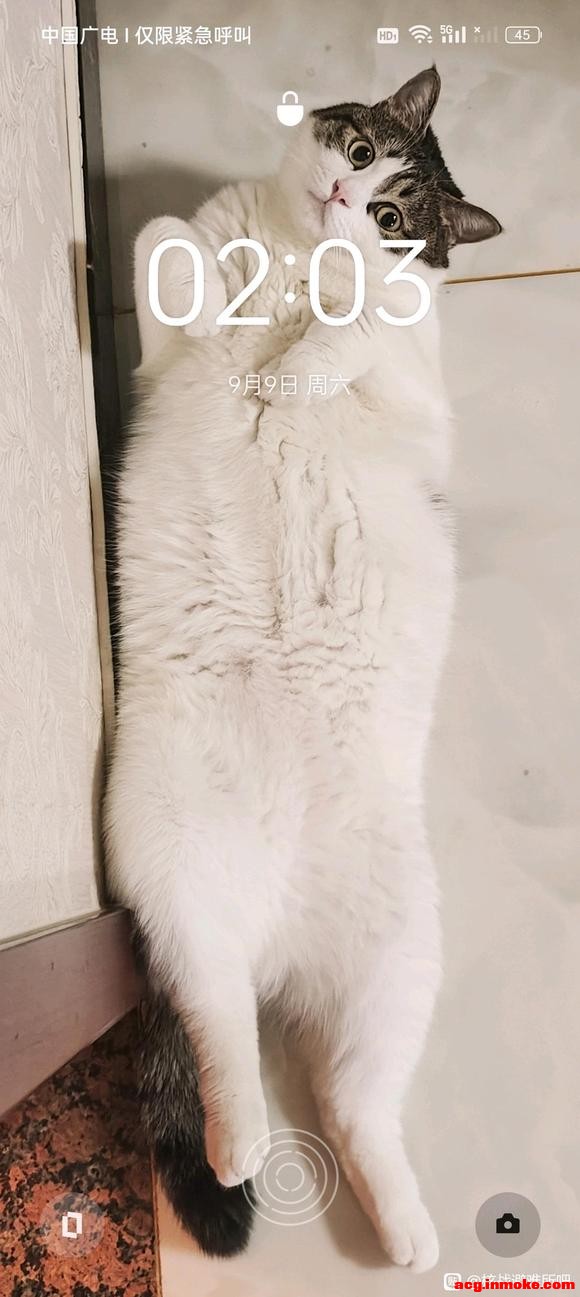 һϴʱֻֽͻȻĻ,ᷢʲô?-1.jpg