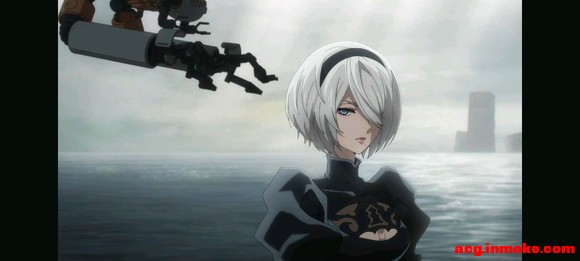 2bֽ-2.jpg