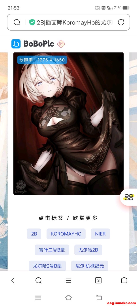 2bֽ-3.jpg