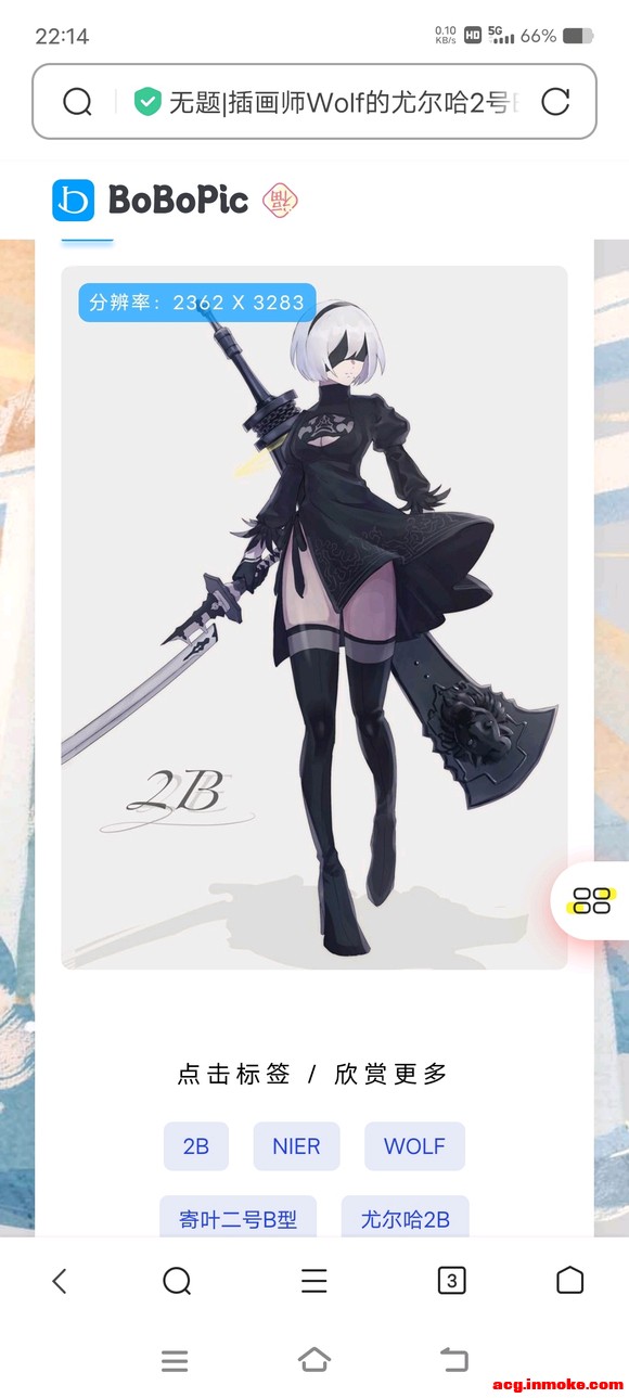 2bֽ-6.jpg