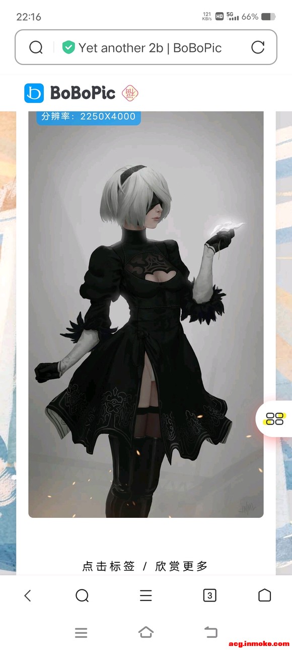 2bֽ-8.jpg