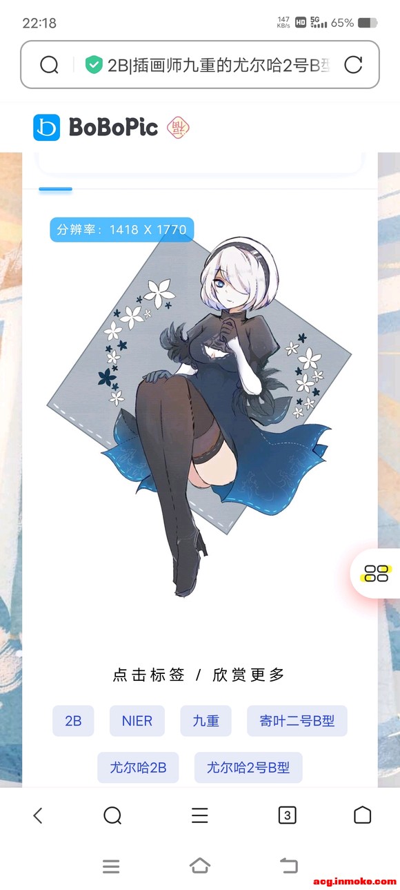 2bֽ-2.jpg