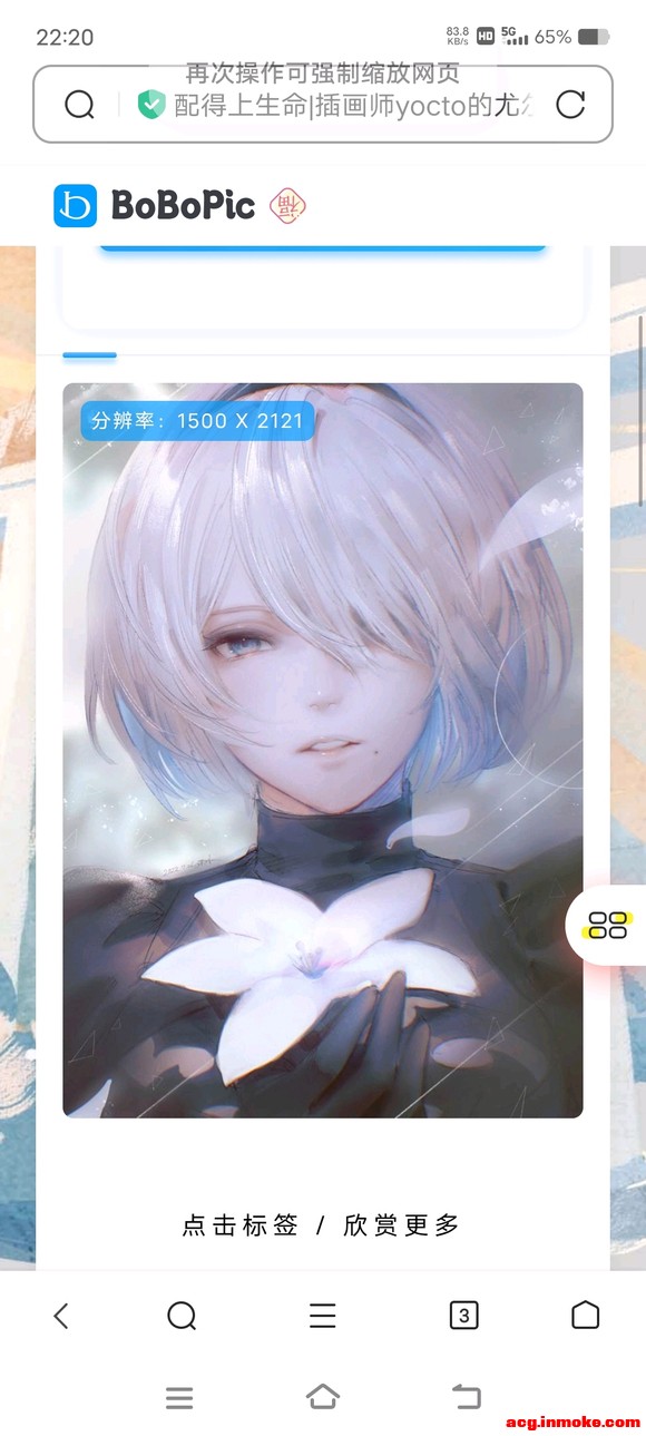 2bֽ-4.jpg