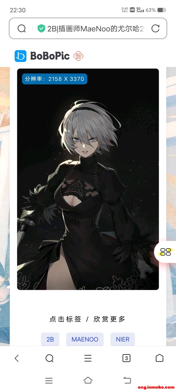 2bֽ-9.jpg