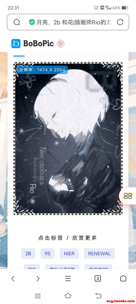 2bֽ-1.jpg