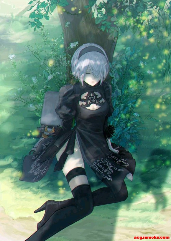 2bֽ-8.jpg