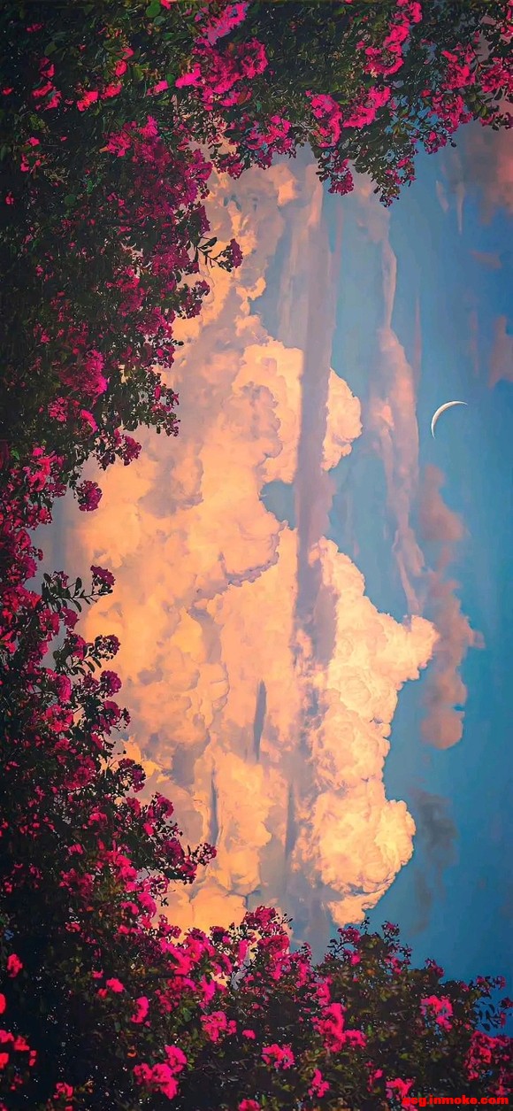 ֽ¼ͷ-3.jpg