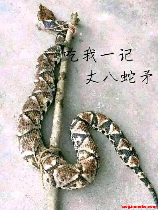 мͼ,뵱ֽ-1.jpg