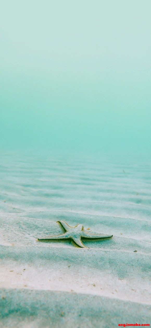 ˬֽ-5.jpg