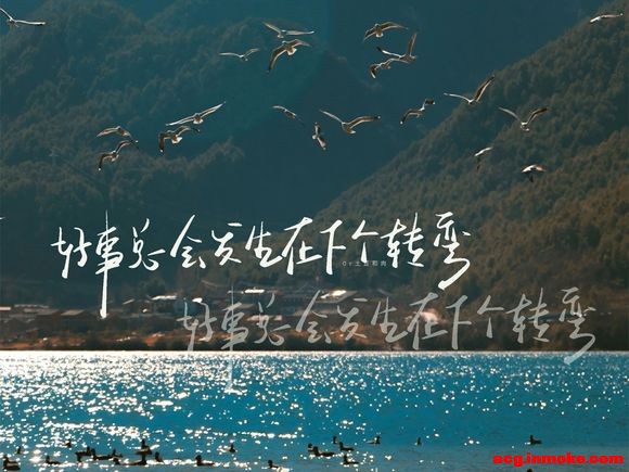 ֻֽ|һз?-1.jpg