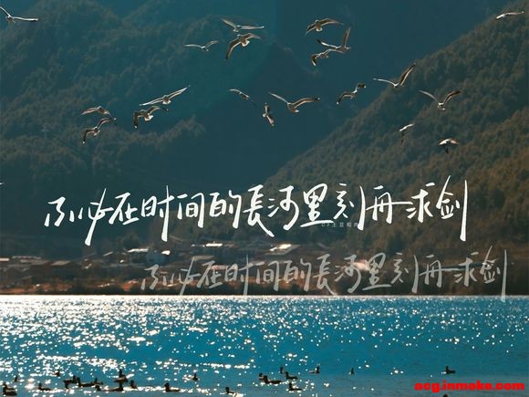 ֻֽ|һз?-4.jpg
