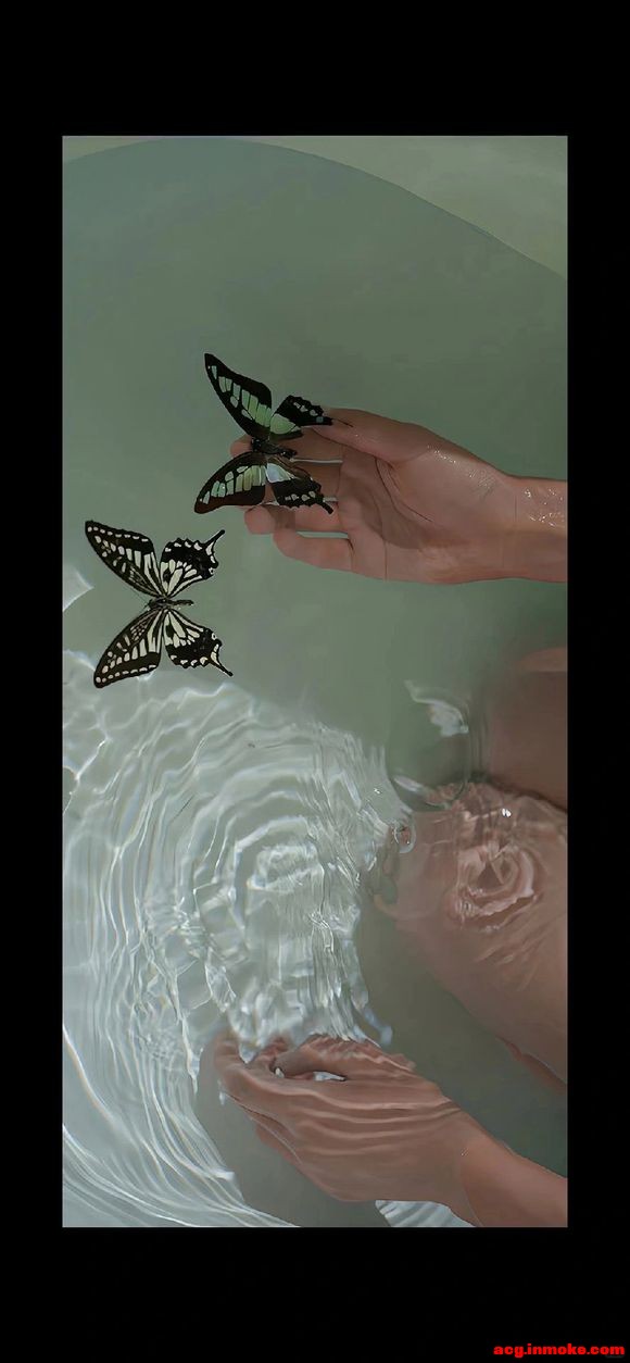 butterflyȫֽϼ-7.jpg