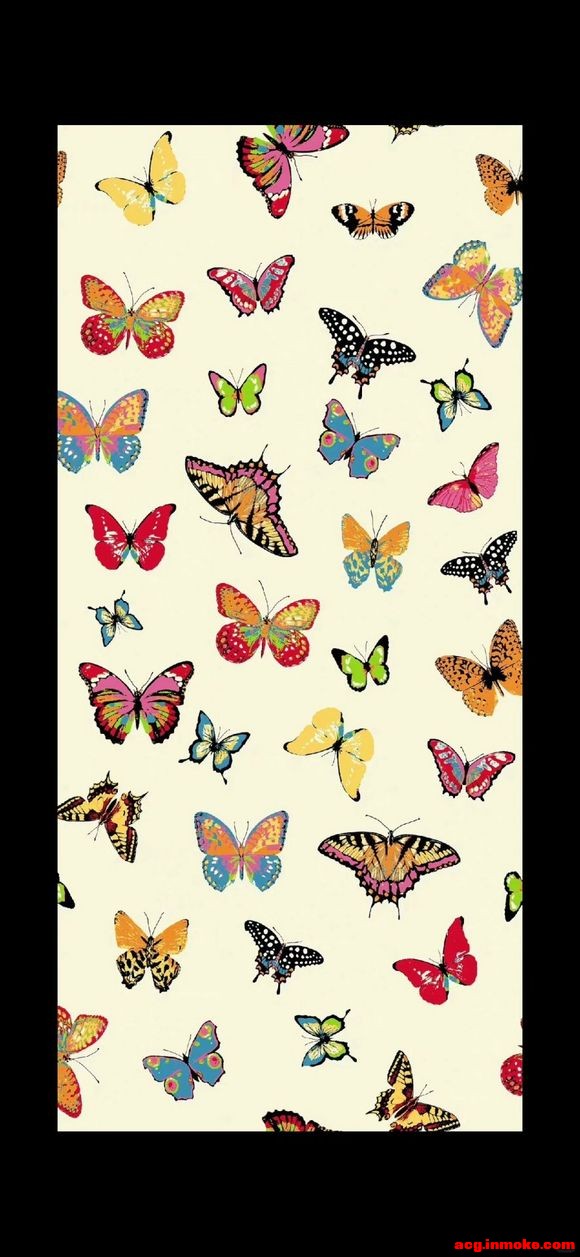 butterflyȫֽϼ-8.jpg