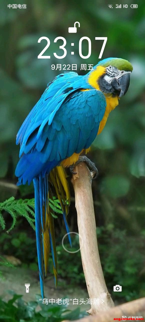 ڱֽ-1.jpg