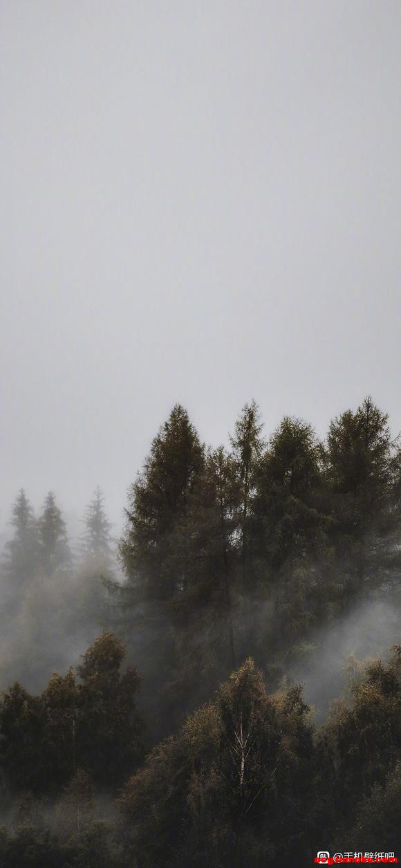 ûкÿһױֽ-1.jpg