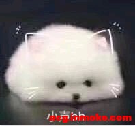 COSƬعһ͵ͼBվUP-1.jpg