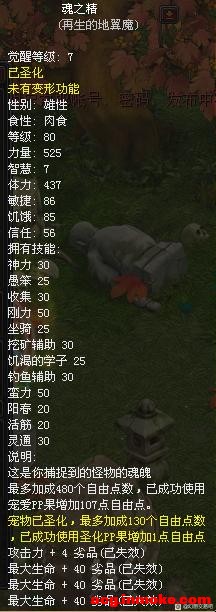 Ʒ-2.jpg