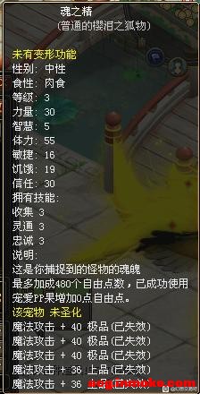 Ʒ-5.jpg