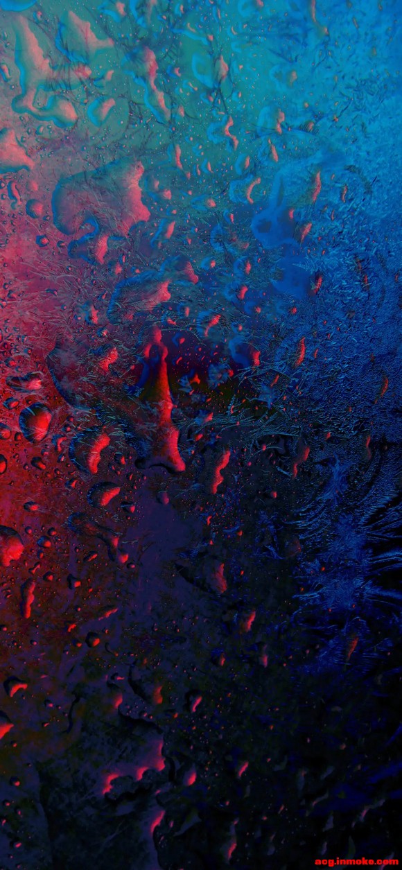 վѡ:ۺϱֽ(ڶ)-4.jpg