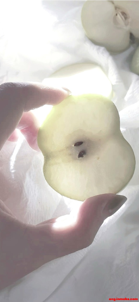 г-1.jpg