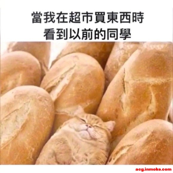 20255-6½ ?? ?B?B? ??-1.jpg
