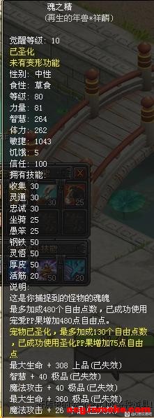 ƷҪϵ-4.jpg