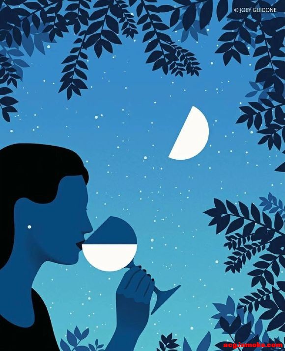 |һŲ廭һJoey Guidone-5.jpg