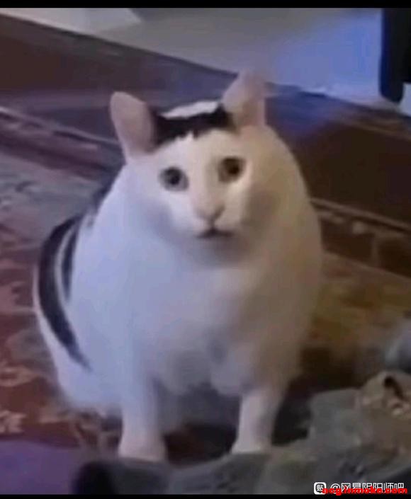 ȡ⼸Ų廭?-3.jpg