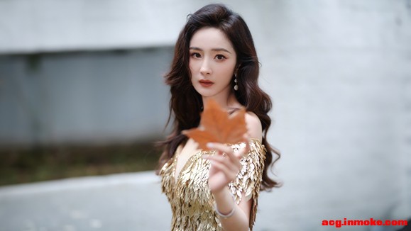 ݡʮһµ~ֽing-1.jpg