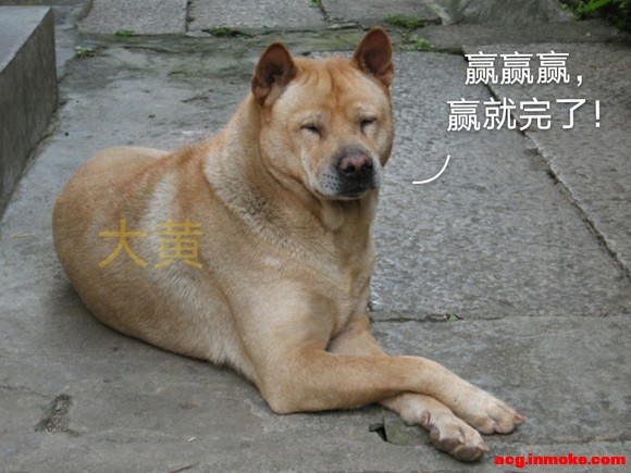 ѹˣϻ˵ĺ-1.jpg
