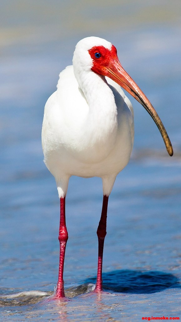 ð ˮӡֽ-2.jpg